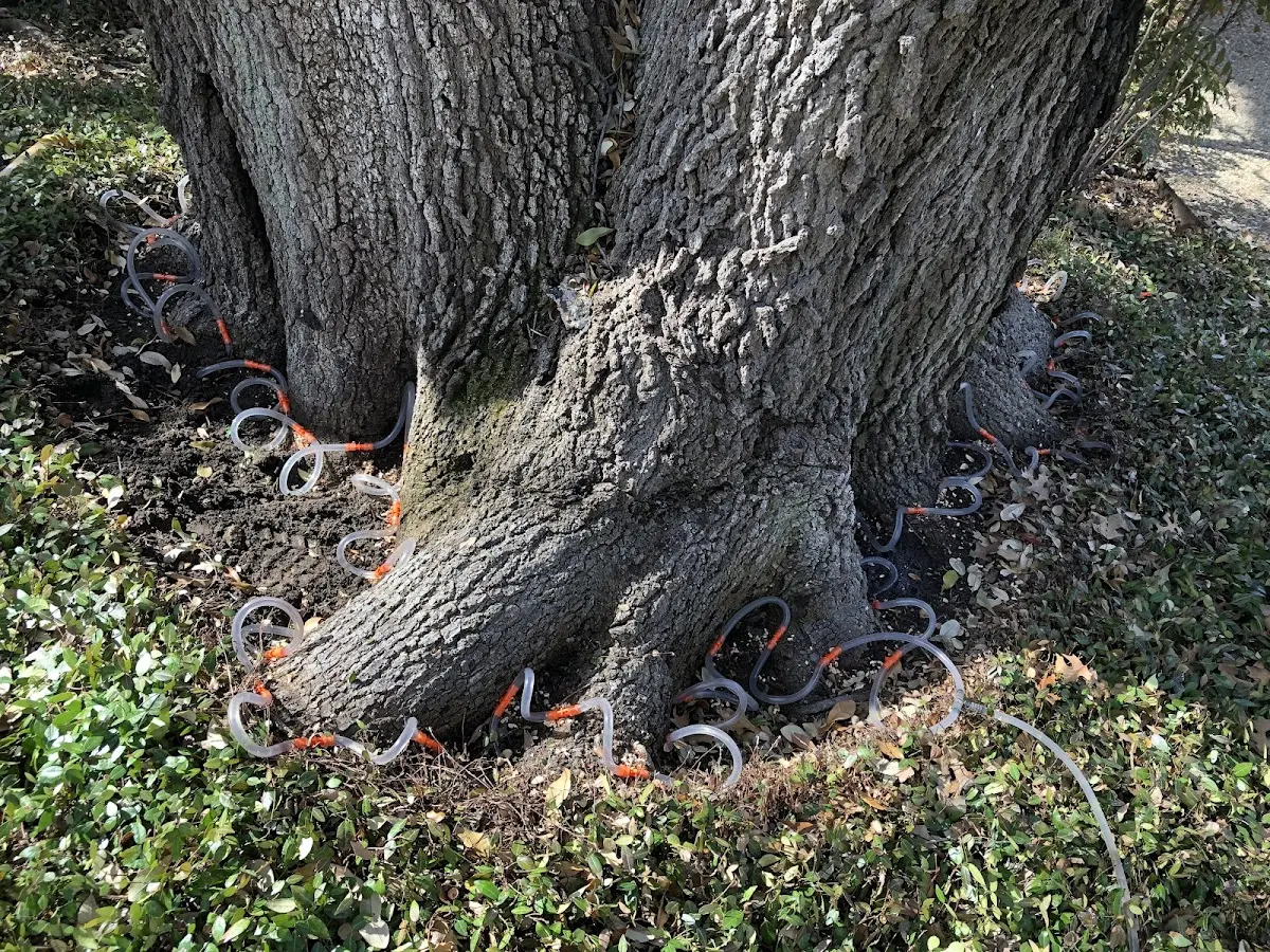 Detailed Shrub and Hedge Trimming job site in Warfield